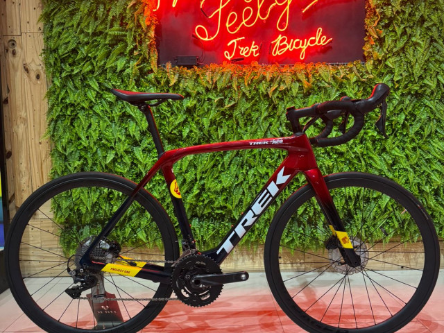 Domane SLR 